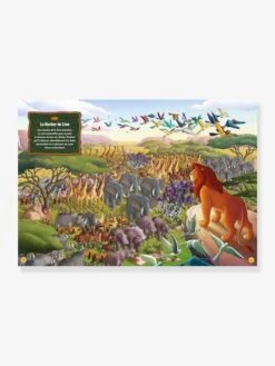 DISNEY CLASSIQUES - Où Se Cachent Tes Héros ? - Cherche Et Trouve - HACHETTE JEUNESSE Blanc - Disney -Enfants Jouets Magasin disney classiques ou se cachent tes heros cherche et trouve hachette jeunesse 2