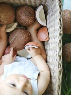 Jouet De Dentition Coco La Noix De Coco - OLI & CAROL Marron - Oli Et Carol -Enfants Jouets Magasin jouet de dentition coco la noix de coco oli carol 5