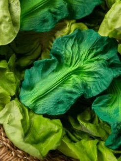 Jouet De Dentition Kendall La Feuille De Chou - OLI & CAROL Vert - Oli Et Carol -Enfants Jouets Magasin jouet de dentition kendall la feuille de chou oli carol 4