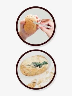 Maxi Pack 12 Oeufs Dinosaures - BUKI Orange - Buki -Enfants Jouets Magasin maxi pack 12 oeufs dinosaures buki 2