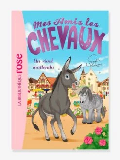 Mes Amis Les Chevaux - T.4 - Un Rival Inattendu - HACHETTE Blanc - Hachette