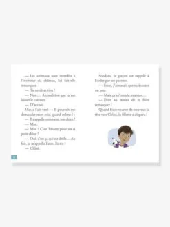 Mes Premières Enquêtes - T.1 - Le Fantôme Du Château - AUZOU Marron - Auzou -Enfants Jouets Magasin mes premieres enquetes t.1 le fantome du chateau auzou 2