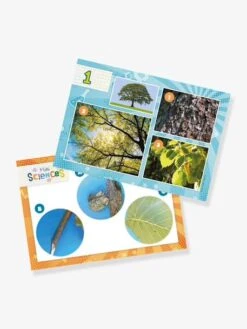 Mini Sciences - Microscope - BUKI Vert - Buki -Enfants Jouets Magasin mini sciences microscope buki 2