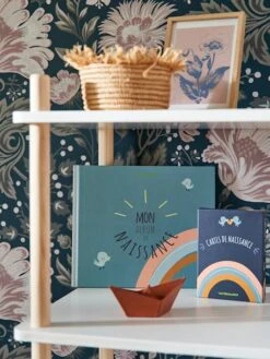 Mon Livre De Naissance + Toise Vert - Vertbaudet -Enfants Jouets Magasin mon livre de naissance toise 3