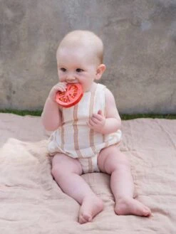 Renato La Tomate - OLI & CAROL Rouge - Oli Et Carol -Enfants Jouets Magasin renato la tomate oli carol 2