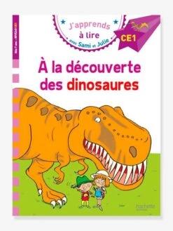 Sami Et Julie - CE1- À La Découverte Des Dinosaures - HACHETTE EDUCATION Blanc - Hachette