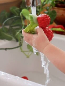 Valery La Framboise - OLI & CAROL Rouge - Oli Et Carol -Enfants Jouets Magasin valery la framboise oli carol 3