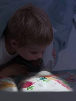 Veilleuse Torche Gina La Girafe - ZAZU Gris - Toutes Les Marques -Enfants Jouets Magasin veilleuse torche gina la girafe zazu 4